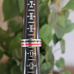 Silver and Red Band Ring